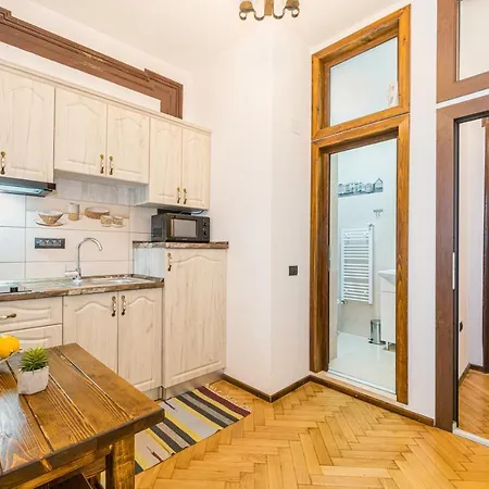 בית הארחה Rustic Star Old Town בראשוב